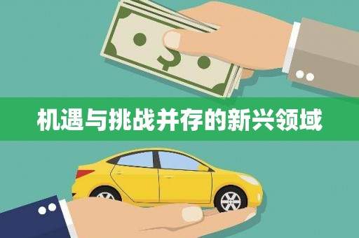 鹿泉机遇与挑战并存的新兴领域