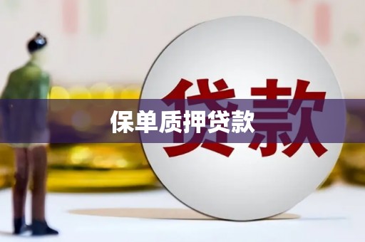 鹿泉保单质押贷款