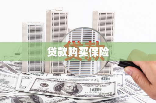 鹿泉贷款购买保险