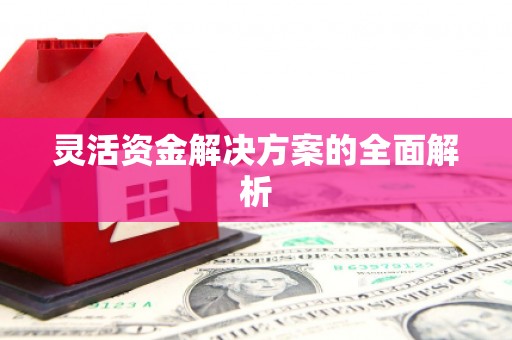 鹿泉灵活资金解决方案的全面解析