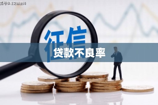 鹿泉贷款不良率