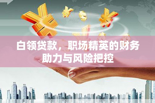 鹿泉白领贷款，职场精英的财务助力与风险把控
